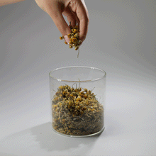 Load image into Gallery viewer, Set of Six 8oz Glass Jars